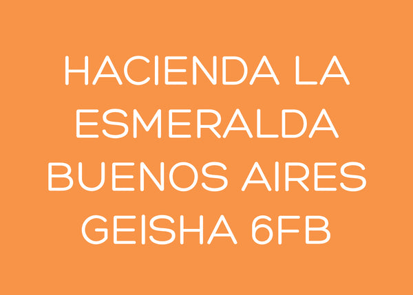 HACIENDA LA ESMERALDA BUENOS AIRES - GEISHA - WASHED 6FB - PANAMA