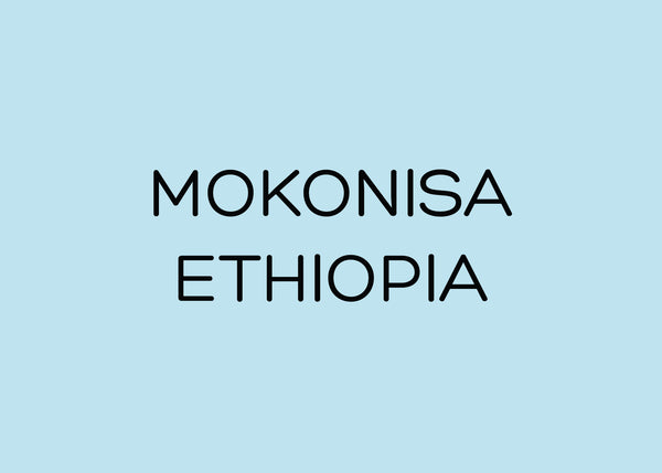 MOKONISA - ETHIOPIA